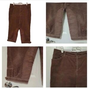 velvet Bermudas shorts